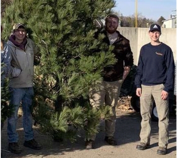 Three men standing with large evergreen tree.